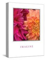 Imagine Flowers-Maureen Love-Stretched Canvas
