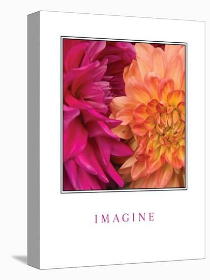 Imagine Flowers-Maureen Love-Stretched Canvas