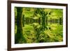 Imagine Gougane Barra-Jan Michael Ringlever-Framed Art Print