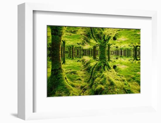 Imagine Gougane Barra-Jan Michael Ringlever-Framed Art Print