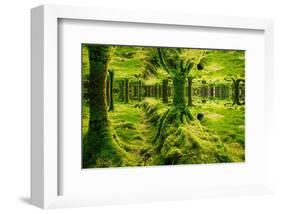 Imagine Gougane Barra-Jan Michael Ringlever-Framed Art Print