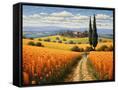 Canvas Black