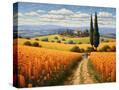 Stretched Canvas