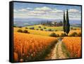 Canvas Black