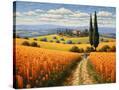 Stretched Canvas