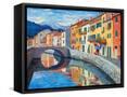 Framed Canvas