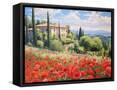 Framed Canvas