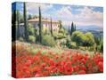 Stretched Canvas