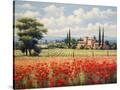 Stretched Canvas