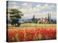 Stretched Canvas