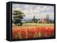 Framed Canvas