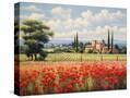 Stretched Canvas