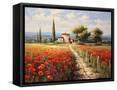 Framed Canvas