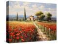 Stretched Canvas