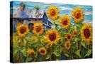 Stretched Canvas