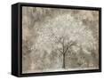 Framed Canvas
