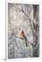 Gramercy White