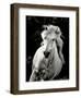 Imagine Me and You-Barry Hart-Framed Giclee Print