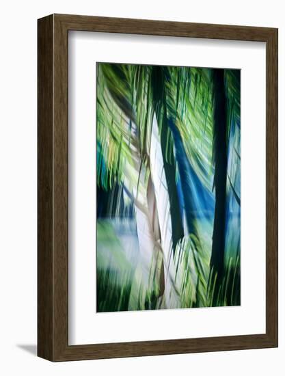 Imagine Palm Trees-Ursula Abresch-Framed Photographic Print