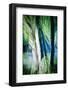 Imagine Palm Trees-Ursula Abresch-Framed Photographic Print