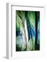 Imagine Palm Trees-Ursula Abresch-Framed Photographic Print