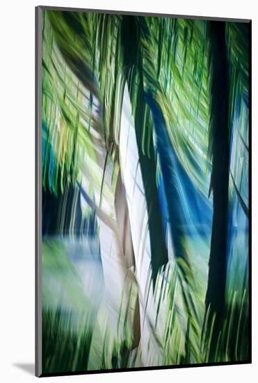 Imagine Palm Trees-Ursula Abresch-Mounted Photographic Print