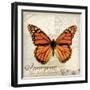 Imagine Possibilites-Amy Melious-Framed Art Print