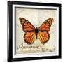 Imagine Possibilites-Amy Melious-Framed Art Print