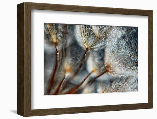 Imagine Seedlings-Ursula Abresch-Framed Photographic Print