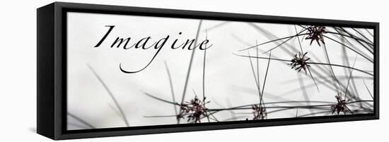 Imagine: Sweet Grass-Nicole Katano-Framed Stretched Canvas
