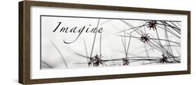 Imagine: Sweet Grass-Nicole Katano-Framed Photo