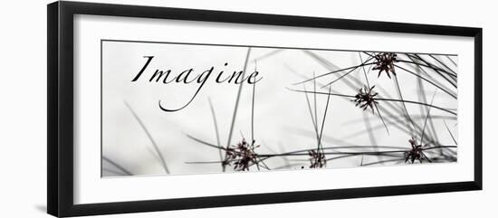 Imagine: Sweet Grass-Nicole Katano-Framed Photo