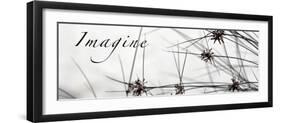 Imagine: Sweet Grass-Nicole Katano-Framed Photo