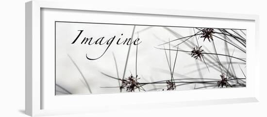 Imagine: Sweet Grass-Nicole Katano-Framed Photo