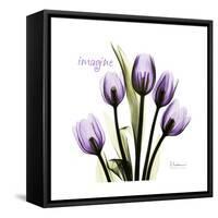 Imagine Tulips-Albert Koetsier-Framed Stretched Canvas