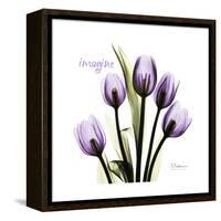 Imagine Tulips-Albert Koetsier-Framed Stretched Canvas