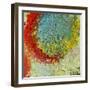 Imagine-Ruth Palmer-Framed Art Print