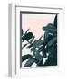 Imagine-Hanna Kastl-Lungberg-Framed Premium Photographic Print