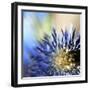 Imagine-Incredi-Framed Giclee Print