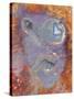 Imagined Face in Slate, Easdale, Scotland, UK-Niall Benvie-Stretched Canvas