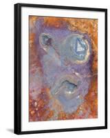 Imagined Face in Slate, Easdale, Scotland, UK-Niall Benvie-Framed Photographic Print