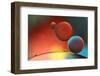 Imbalance-Heidi Westum-Framed Photographic Print