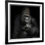 IMHO-Antje Wenner-Braun-Framed Giclee Print