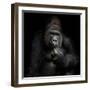 Imho...-Antje Wenner-Braun-Framed Photographic Print