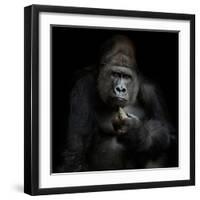 Imho...-Antje Wenner-Braun-Framed Photographic Print