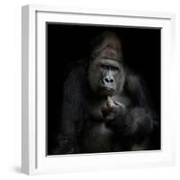 Imho...-Antje Wenner-Braun-Framed Photographic Print