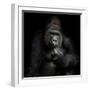 Imho...-Antje Wenner-Braun-Framed Photographic Print