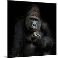 Imho...-Antje Wenner-Braun-Mounted Photographic Print