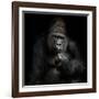 Imho...-Antje Wenner-Braun-Framed Photographic Print