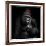 Imho...-Antje Wenner-Braun-Framed Photographic Print